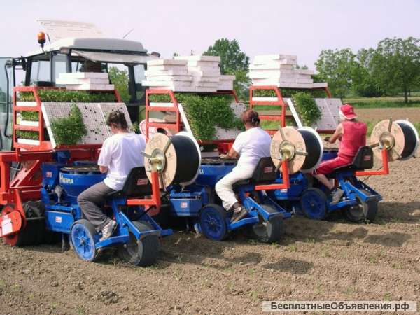 Рассадопосадочные машины Ferrari