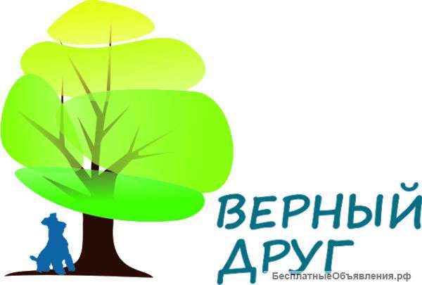 Приглашаем Продавцов-консультантов