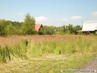 Участок 8 соток г.о Домодедово, деревня Калачево за 1,65 млн. р.