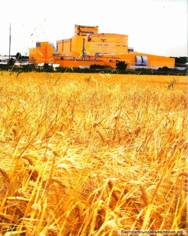 ПриглашаеМ к взаимовыгодному сотрудничеству сельхозпереработка