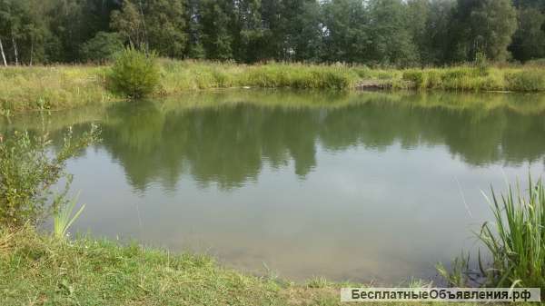 Участок в пос. Майдарово