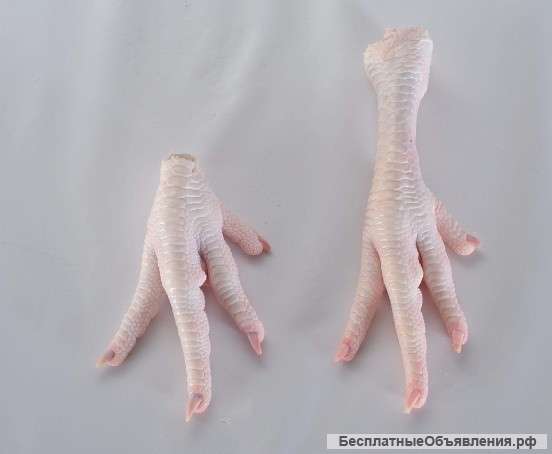 Куриные лапы класса "А" оптом на экспорт