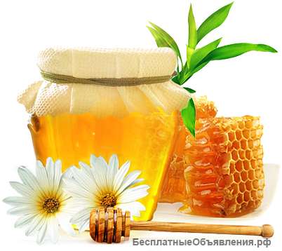 Алтайский мед