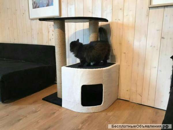 Домик когтеточка для крупных кошек Эко - 004