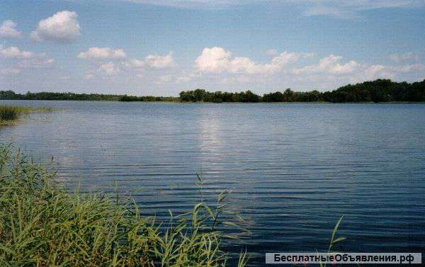 Земельного участка в д. Рыбаки