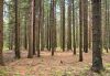 Продажа земельного участка 37 Га в д. Рыбаки