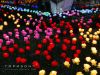 Светодиодные LED розы
