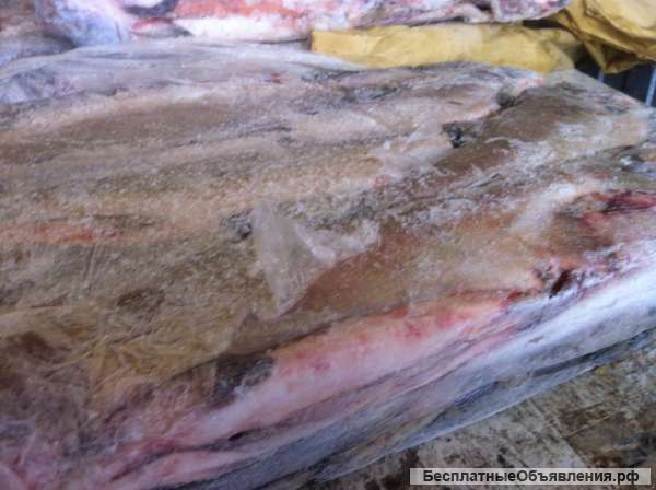 Горбуша ПСГ