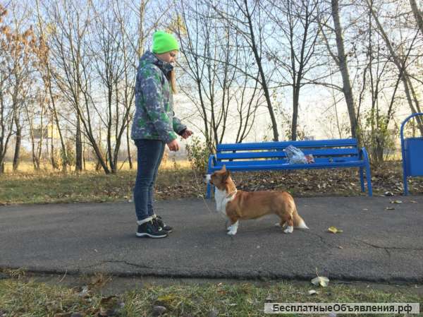 Услуги хендлера