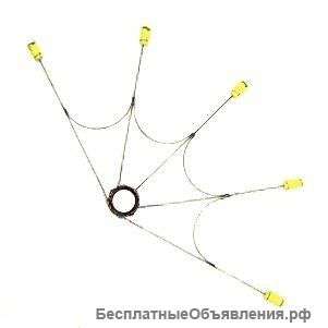 Веера, палмы