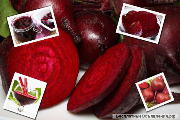 Свекла из Крыма оптом