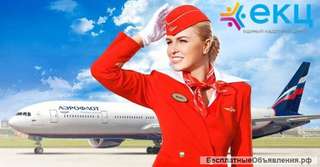 Сборщики обедов в аэрапорт