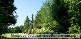 Робота в Польше