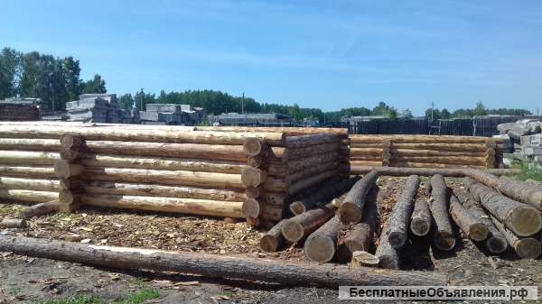 Сруб дома, баню из сибирского леса