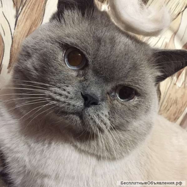 Котик для вязки