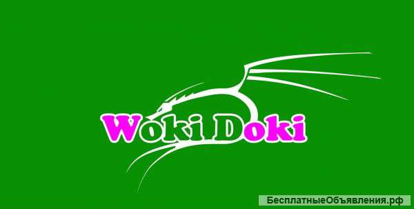Франшиза Woki Doki китайская еда в коробочках