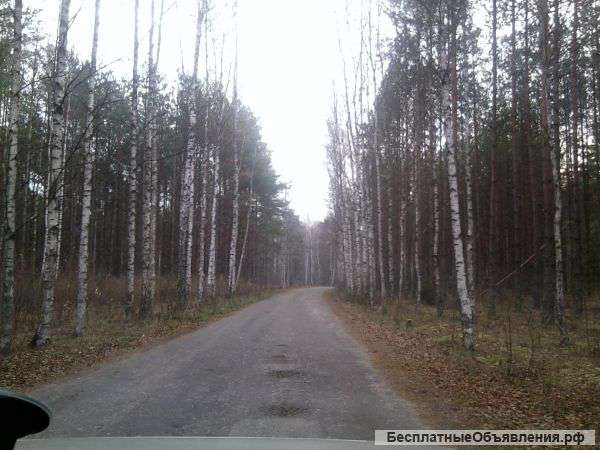 Продам дачу в живописном месте в Беларуси