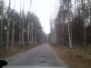 Продам дачу в живописном месте в Беларуси