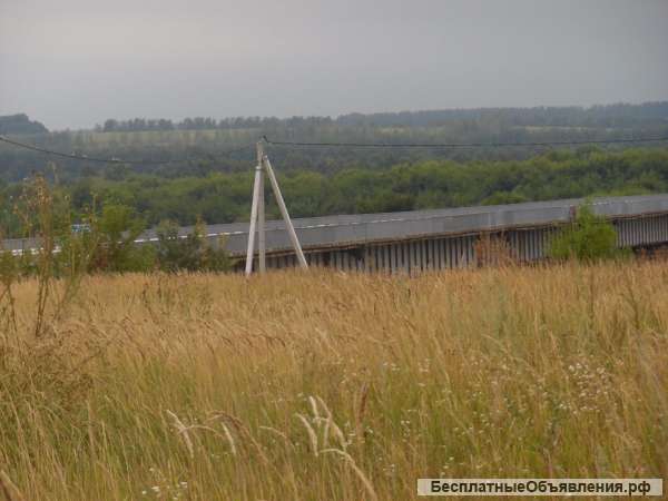 Участок на берегу дона