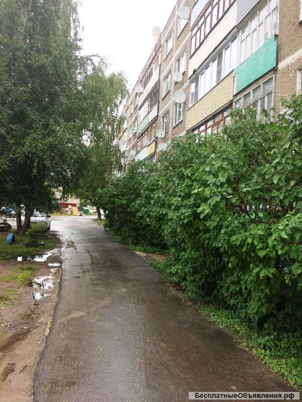 1-комнатная квартира д. Селиваниха