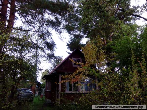 Дачу в Бояркино