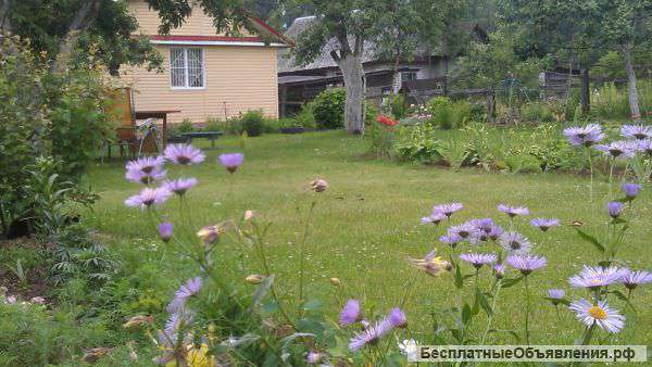 Продам дом на Горьковском море