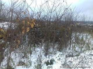 Земельный пай АОЗТ " Серпуховское"