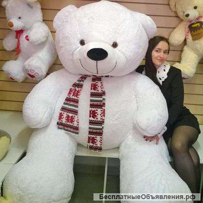 Плюшевые медведи