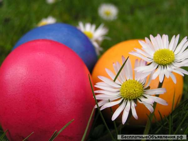 Приглашаем на работу мастера массажа