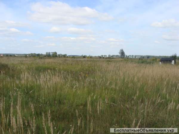 Земельный участок. Бровары Русанов Участок 19 ГА личное крестьянское хозяйство, грунтовый