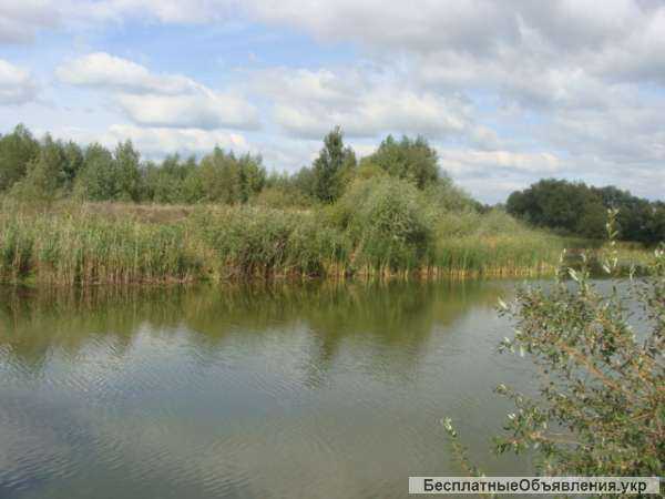 Землю. Бровары Зазимье Участок 10 соток садовое товарищество.Участок на возвышенности.Границ