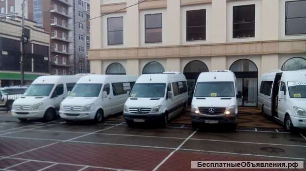 Водитель автобуса