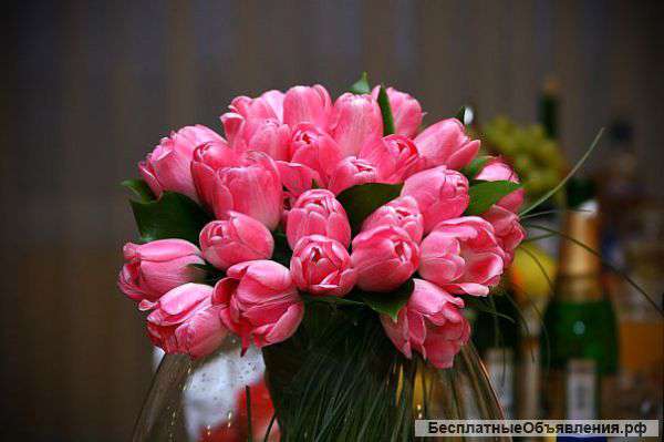 Фотосъемка