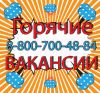 Мерчандайзер в ГМ Магнит на Ярославском шоссе