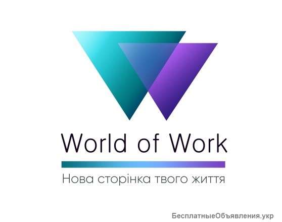 Работа в Д.П.О