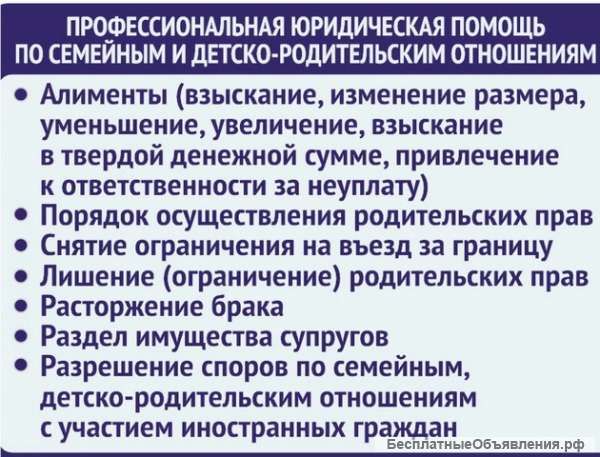 Профессиональная юридическая помощь
