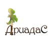 Преподаватель ландшафтных дисциплин