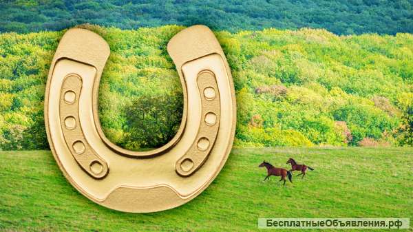 Диспетчеры по грузу