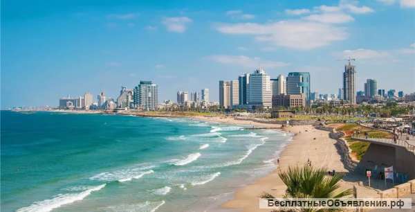 Услуги по официальному трудоустройству в Израиле