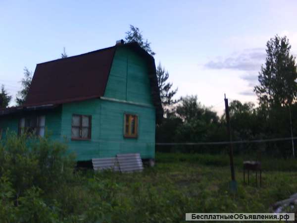 Дачу
