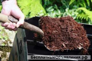 Навоз коровий, перегной в Ставрополе