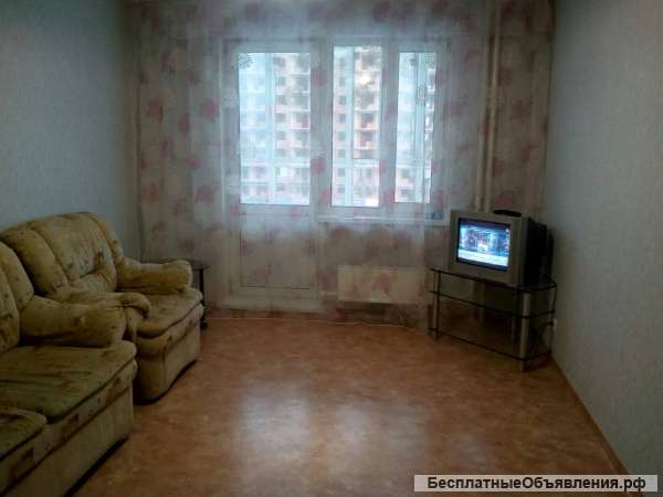 Сдам студию