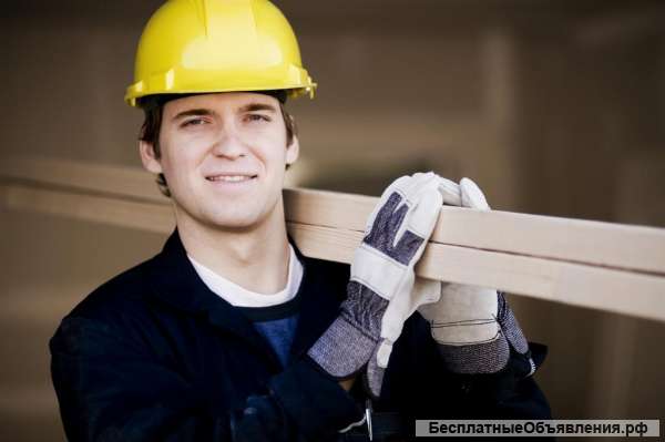 Помощник в поиске работы