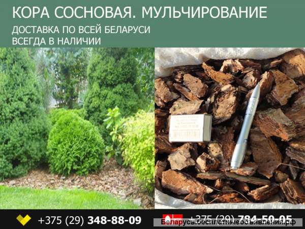 Мульча из сосновой коры в Беларуси