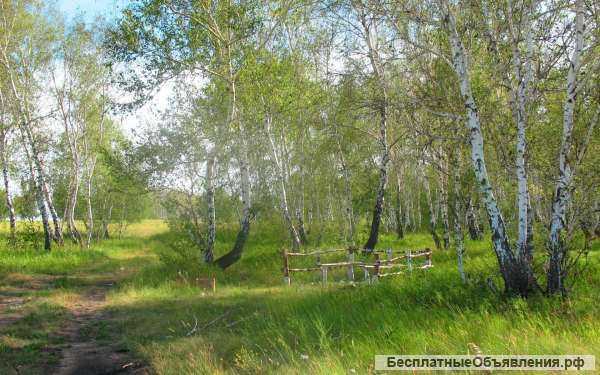 Земельный участок