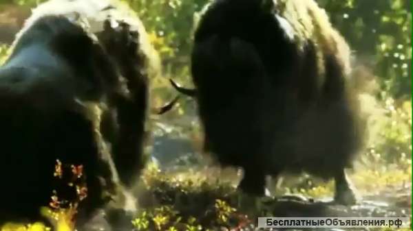 Участвуем в решении проблем