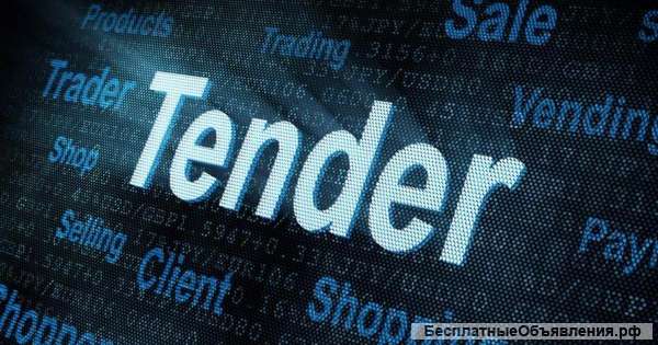 Тендерное сопровождение по ФЗ 44 и ФЗ 223