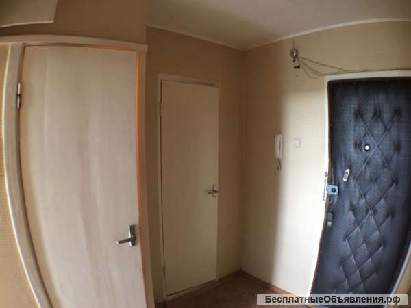 1 комн.квартиру, Приморское шоссе, 36.