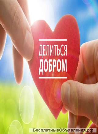 Предоставление социальных услуг