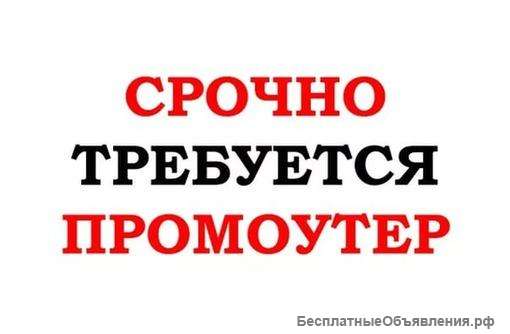 Требуется промоутер
